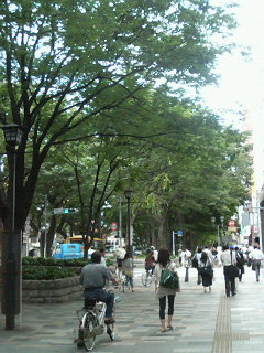 P1002351.jpg