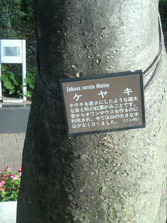 P1002348.jpg