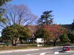 松山城下公園20101204