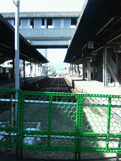 P1001156.jpg