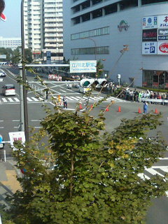 P1001648.jpg