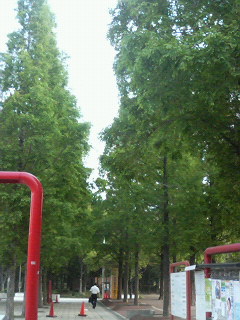 P1002267.jpg