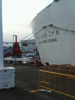 P1002398.jpg