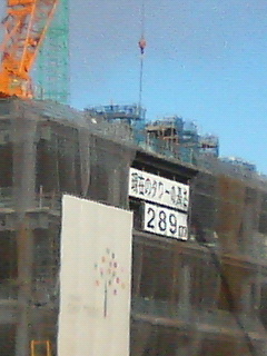 P1002649.jpg