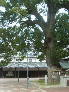 P1002542.jpg