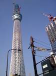 2010-11-12 09.38.46.jpg